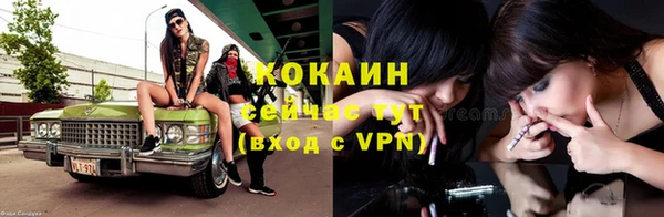 стаф Каменногорск