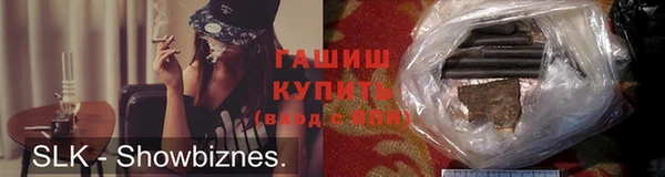 стаф Каменногорск