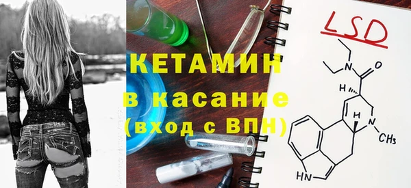 стаф Каменногорск