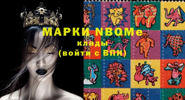 стаф Каменногорск