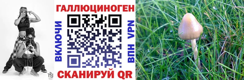 Купить  Полтавская  Псилоцибиновые грибы мицелий 